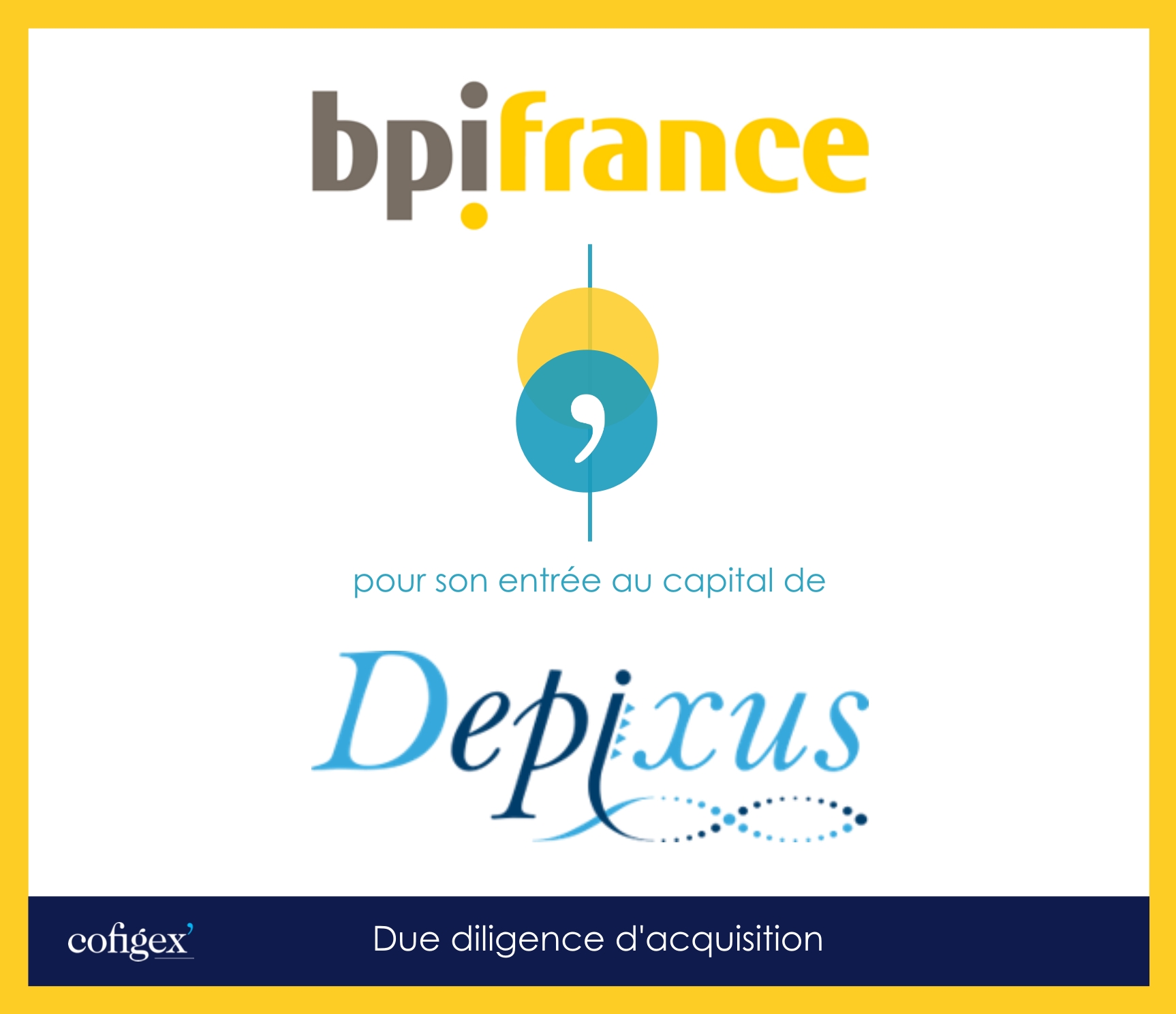 BPIFRANCE - DEPIXUS